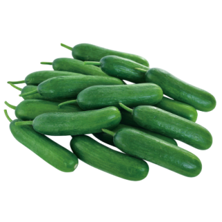 Rishita Cucumber From Known You Seed (India)-KYI